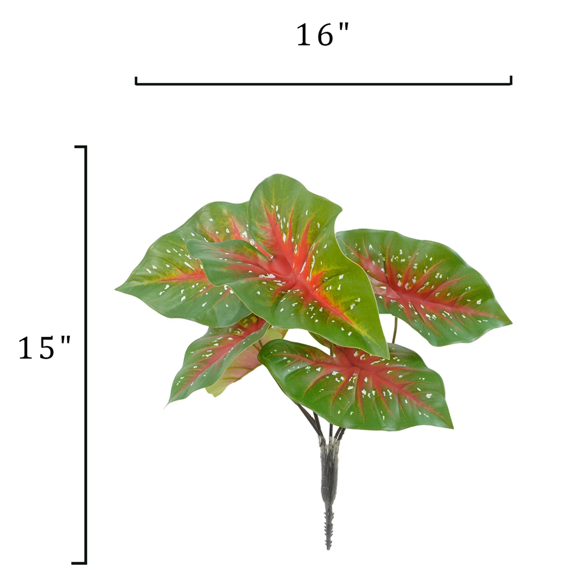 18.5" Green Caladium Bush by Ashland®
